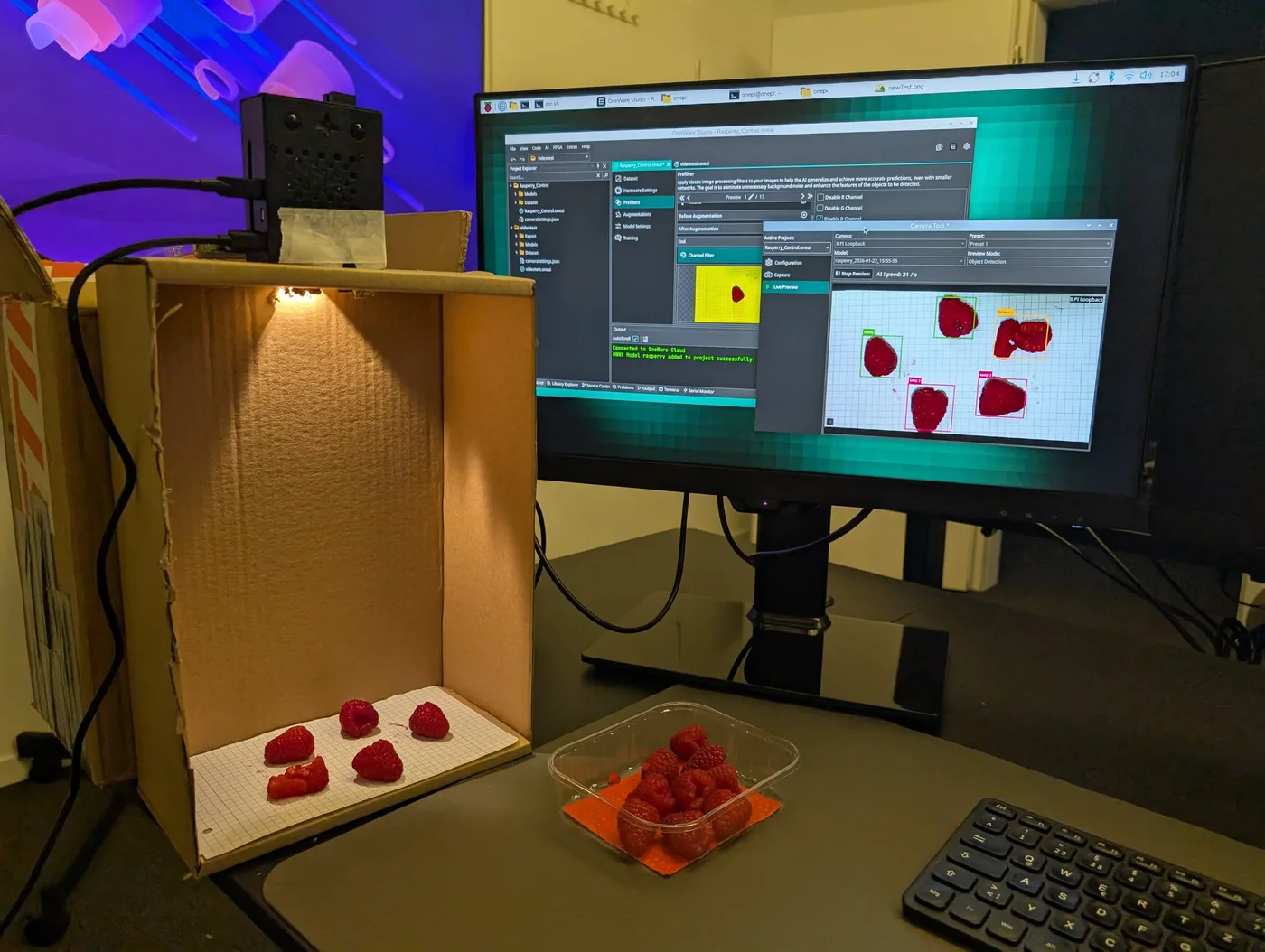 Rasperry Detection on Rasperry Pie