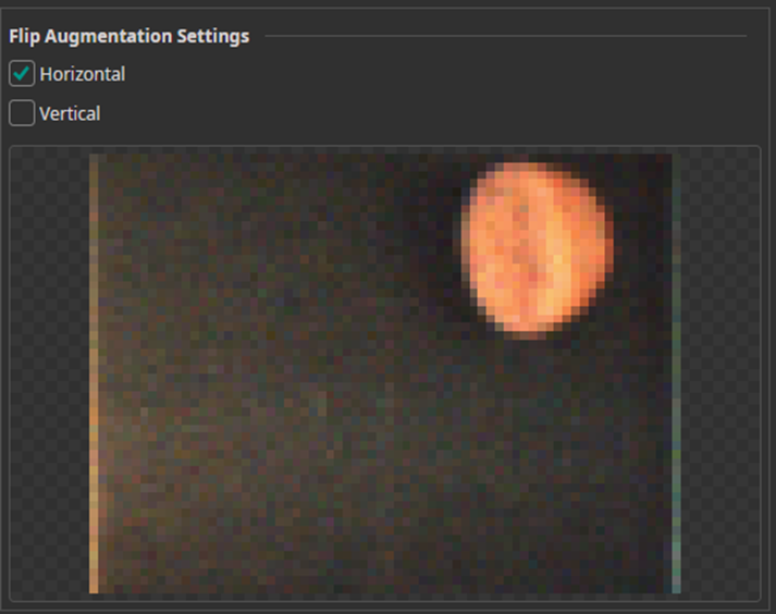 Flip Augmentation